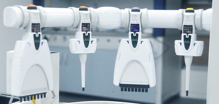 Bioanalytical Support Service